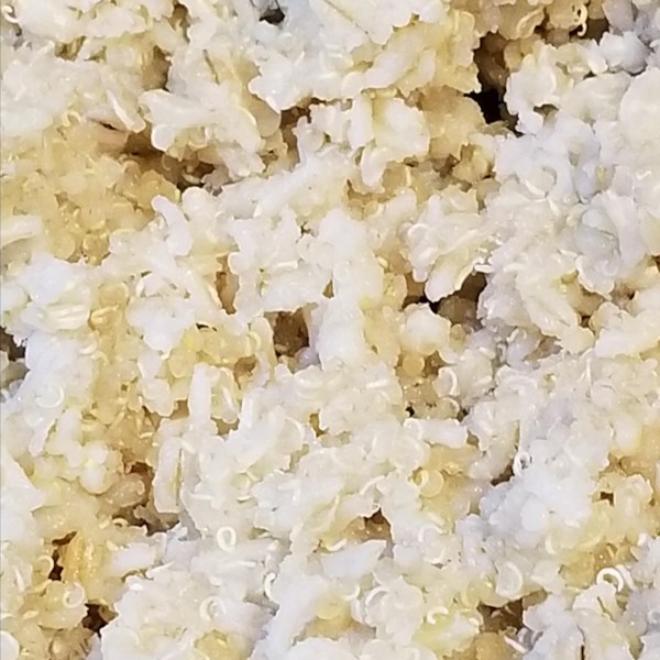 Oven Baked Grain Medley